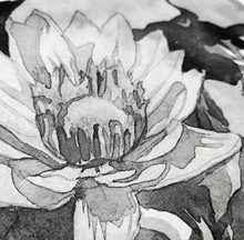 Load image into Gallery viewer, Asagami Paper 9.5" x 10.75" (20 Sheets)