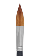 Load image into Gallery viewer, AquaElite Prism Brush