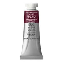 Load image into Gallery viewer, Winsor & Newton Professional Watercolors 14ml