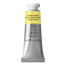 Load image into Gallery viewer, Winsor & Newton Professional Watercolors 14ml