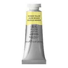 Load image into Gallery viewer, Winsor & Newton Professional Watercolors 14ml