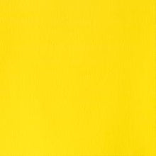 Load image into Gallery viewer, Winsor & Newton Designer Gouache 14ml