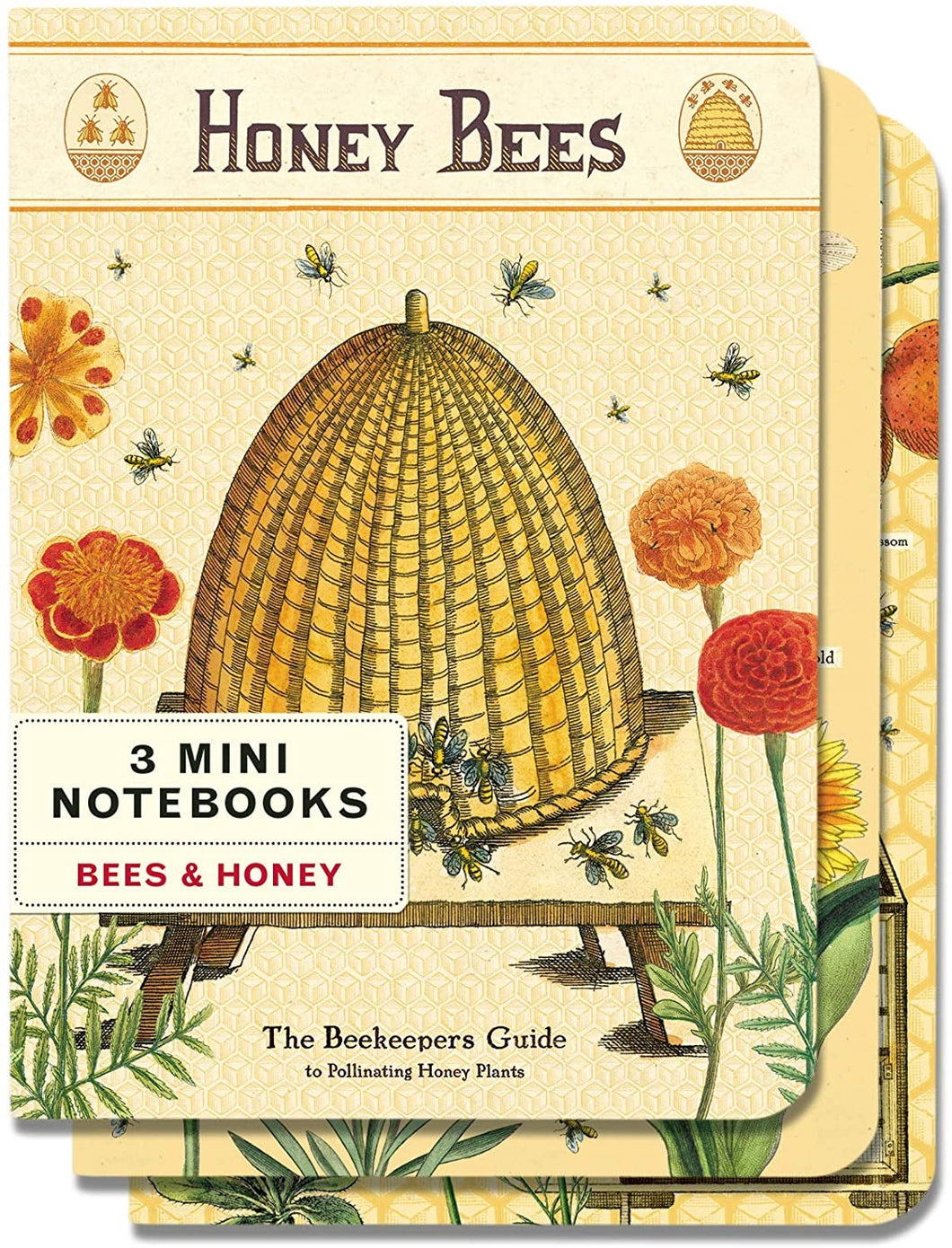 Cavallini Mini Vintage Pocket Notebooks Bees & Honey
