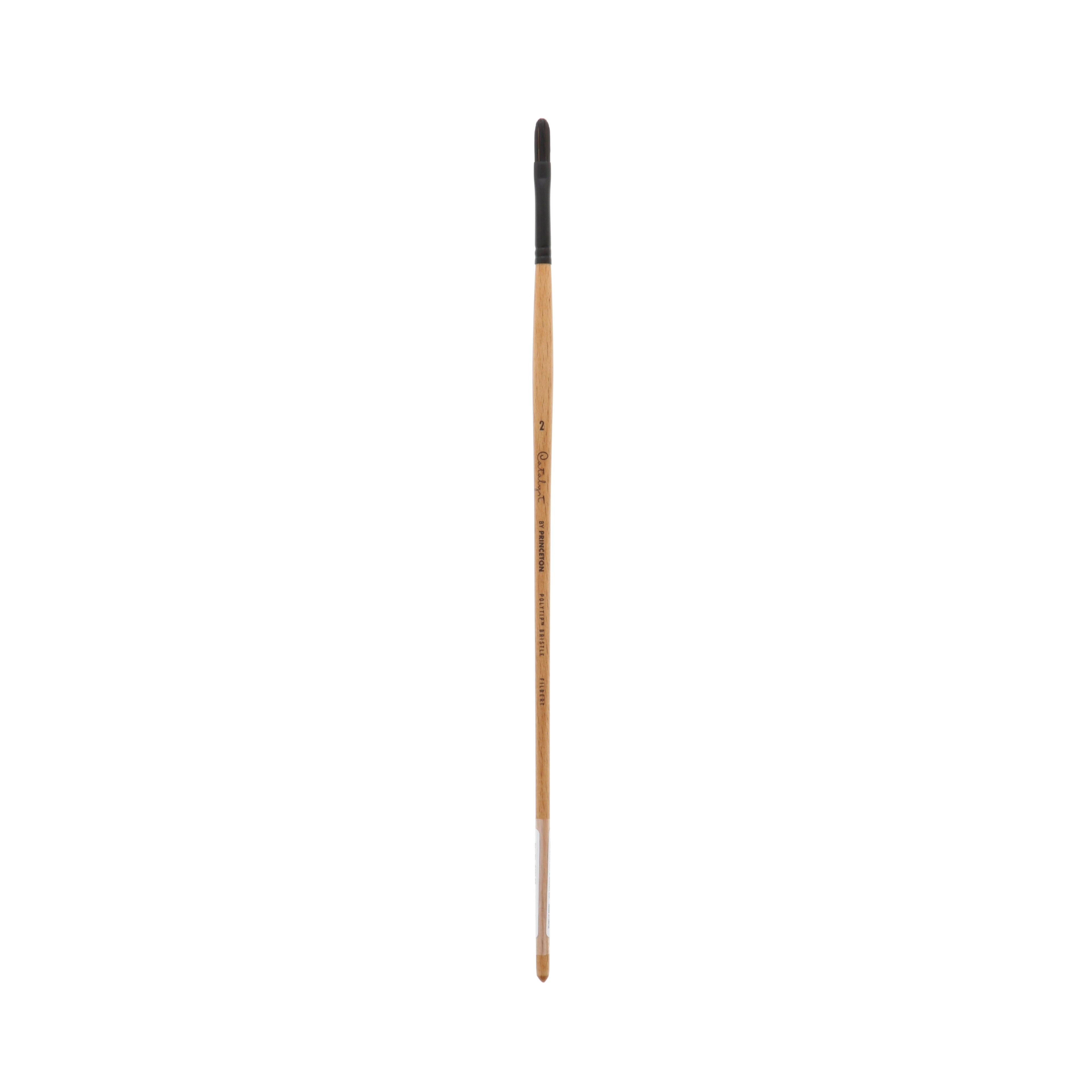 Princeton Brush Catalyst Polytip Long Handle Bristle Brush, Filbert