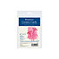 Creative Cards, Announcement Size 3.5" x 4.875", Palm Beach with Plain Edge - 6/Pkg.
