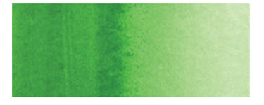 Holbein Watercolors 15ml