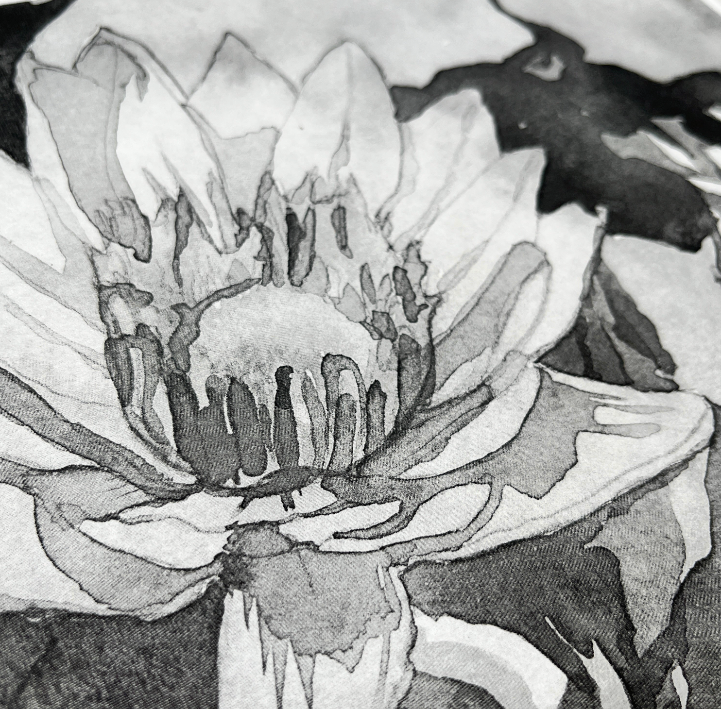 Asagami Paper 9.5" x 10.75" (20 Sheets)