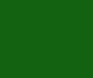 Rembrandt Oils 40ml