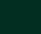 Rembrandt Oils 40ml