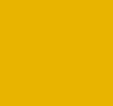 Rembrandt Oils 40ml