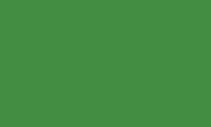 Rembrandt Oils 40ml