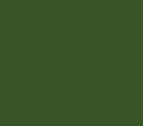 Rembrandt Oils 40ml