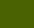 Rembrandt Oils 40ml