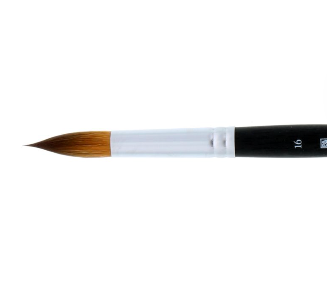 AquaElite Synthetic Kolinsky Brushes - Round
