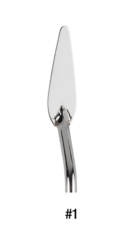 Silver Brush Palette Knife #1