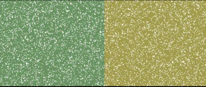 Jacquard Pearl Ex Powdered Pigment