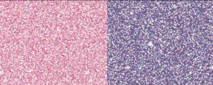 Jacquard Pearl Ex Powdered Pigment