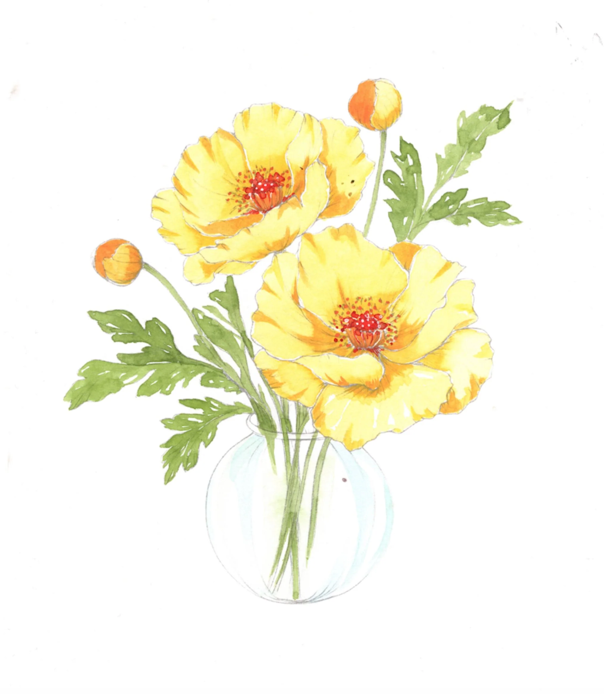 Bold Florals Watercolor Workbook by Willow Wolfe