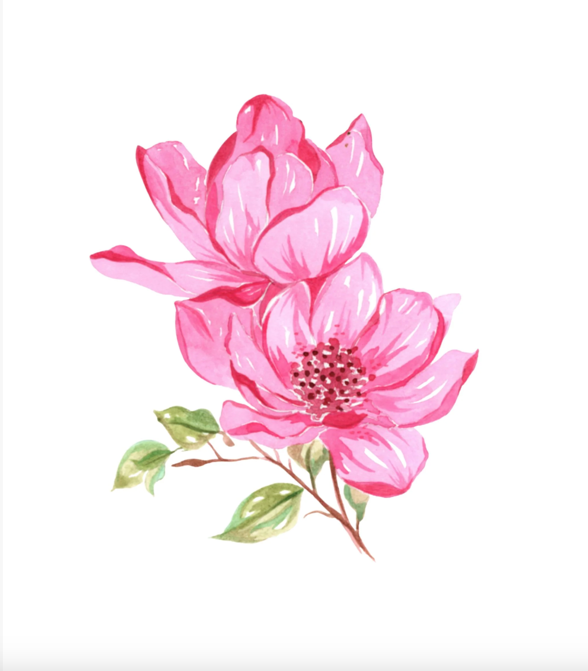 Bold Florals Watercolor Workbook by Willow Wolfe