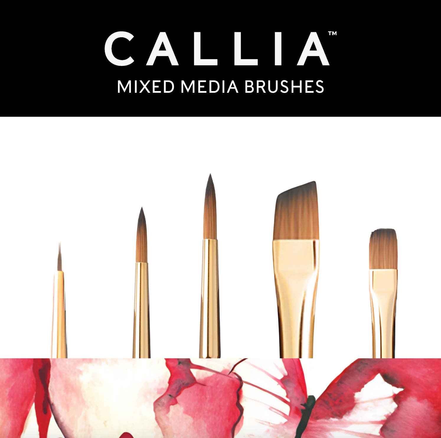 Callia Watercolor Details Set5 by Willow Wolfe