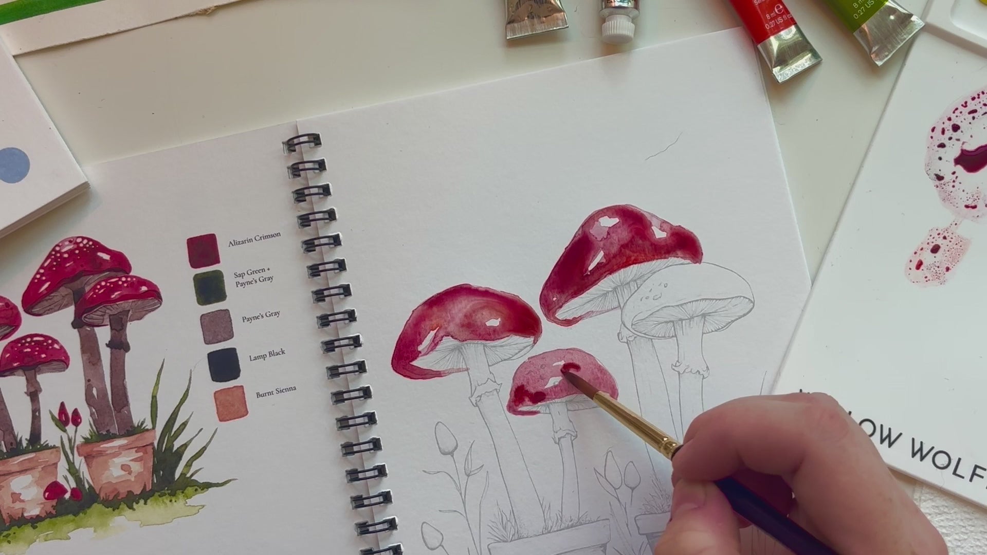 Load video: Bold Florals Watercolor Workbook by Willow Wolfe