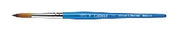 Winsor Newton Cotman Brushes