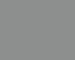 Winsor & Newton Designer Gouache 14ml