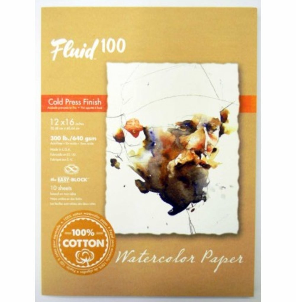 Fluid 100 300lbs Cold Press Block 12x16 10 sheets