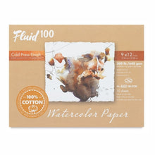 Load image into Gallery viewer, Fluid 100 300lbs Cold Press Block 9x12 10 sheets

