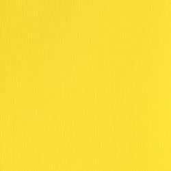 Winsor & Newton Designer Gouache 14ml