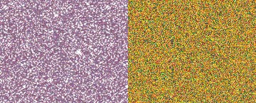 PearlEx Powdered Pigments