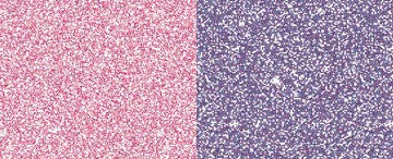 PearlEx Powdered Pigments