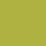Rembrandt Oils 40ml