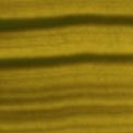 M. Graham Oil Paints 37ml
