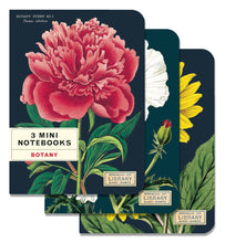 Load image into Gallery viewer, Cavallini &amp; Co. Mini Notebook Sets
