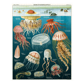 Cavallini Jellyfish Vintage 1000pc Puzzle