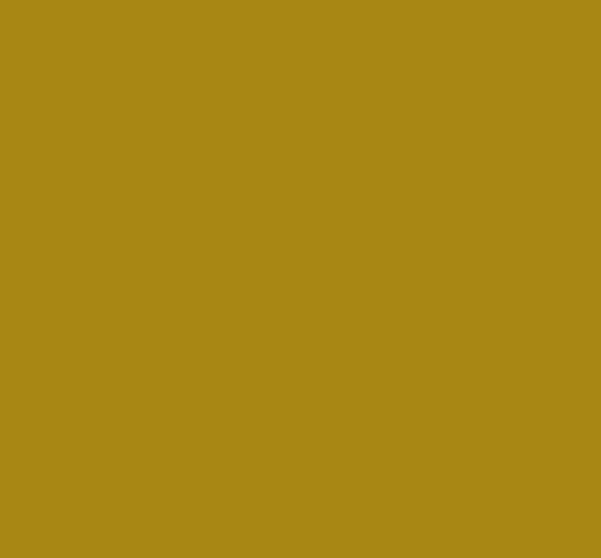 Montana GOLD 400ml (part 1)