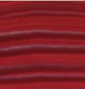 M. Graham Oil Paints 37ml