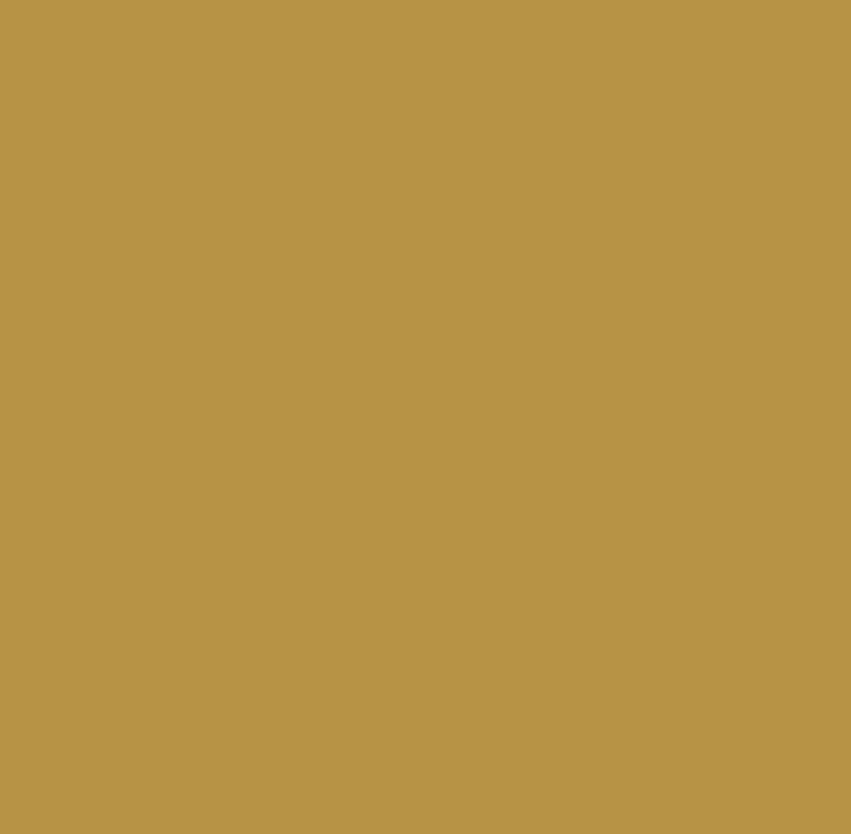 Montana GOLD 400ml (part 1)
