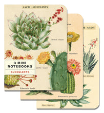 Load image into Gallery viewer, Cavallini &amp; Co. Mini Notebook Sets
