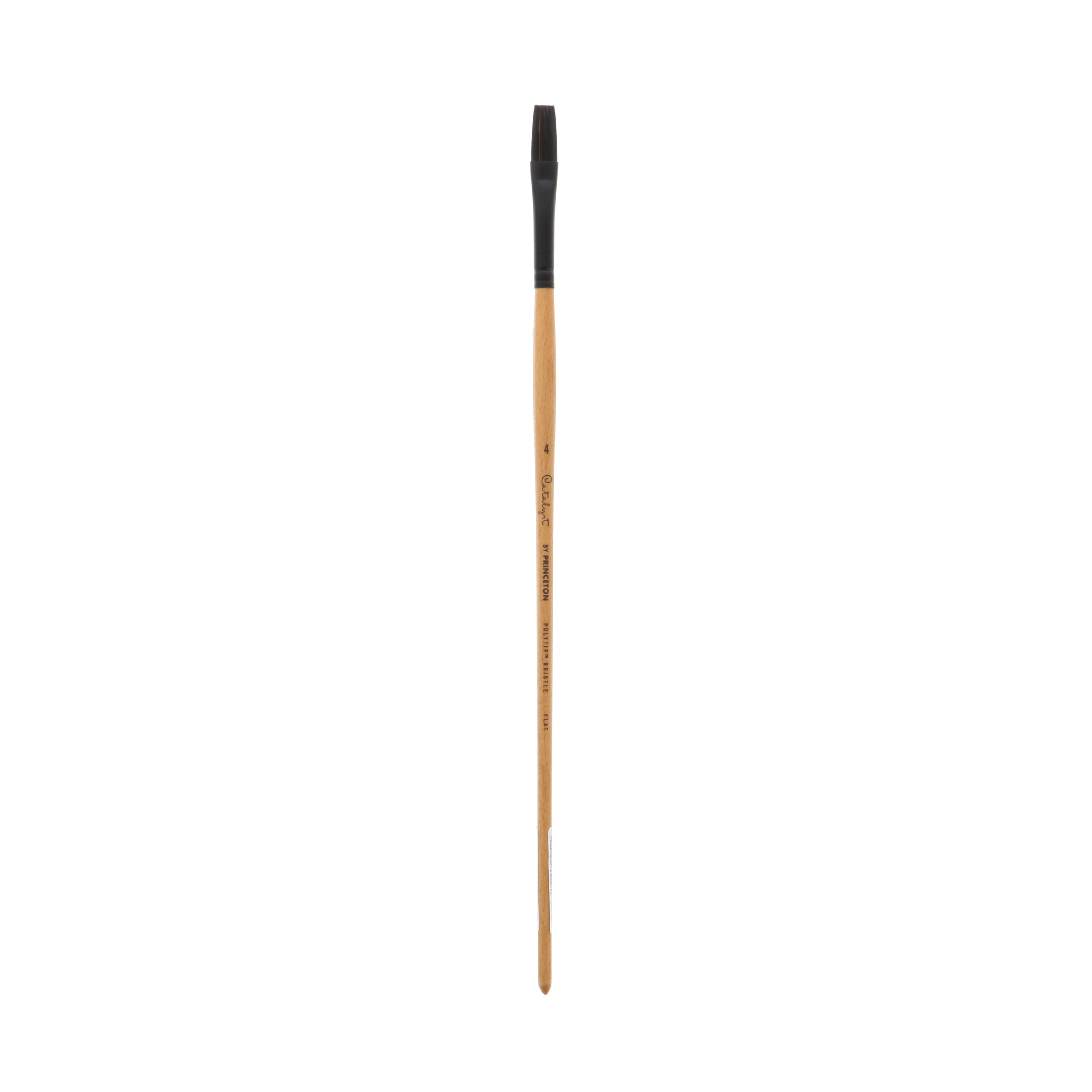 Catalyst Polytip Bristle Long Handle Brush - Flat